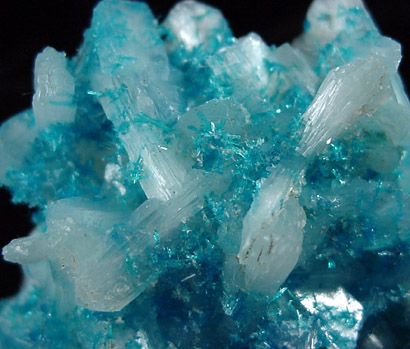 Cavansite on Stilbite from Wagholi Quarry, Maharashtra, India