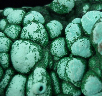 Malachite from L'Etoile du Congo Mine, Lubumbashi, Katanga Copperbelt, Haut-Katanga Province, Democratic Republic of the Congo