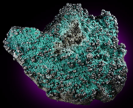 Heterogenite and Chrysocolla from L'Etoile du Congo Mine, Lubumbashi, Katanga Copperbelt, Haut-Katanga Province, Democratic Republic of the Congo