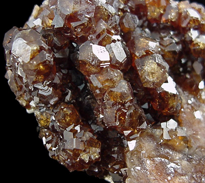 Grossular Garnet var. Hessonite from Vesper Peak, Snohomish County, Washington