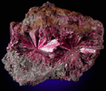 Erythrite from Arhbar Mine, Bou-Azzer, Morocco