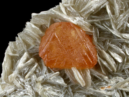 Scheelite in Muscovite from Ping-Wu, Sichuan Province, China