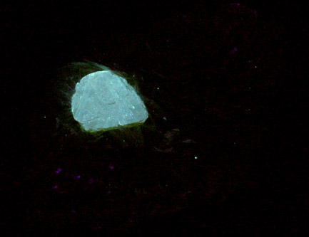 Scheelite in Muscovite from Ping-Wu, Sichuan Province, China