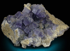 Fluorite and Galena from Blanchard Claim, Hansonburg District, 8.5 km south of Bingham, Socorro County, New Mexico