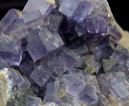 Fluorite and Galena from Blanchard Claim, Hansonburg District, 8.5 km south of Bingham, Socorro County, New Mexico