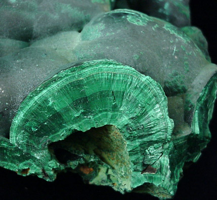 Malachite from Katanga Copperbelt, Lualaba Province, Democratic Republic of the Congo