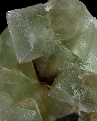 Fluorite from Emerald Mine, Luna County, New Mexico