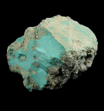 Turquoise from Turquoise Chief Mine, 11 km NW of Leadville, Lake County, Colorado