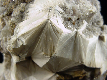 Pectolite, Quartz, Apophyllite from New Strret Quarry, Paterson, Passaic County, New Jersey