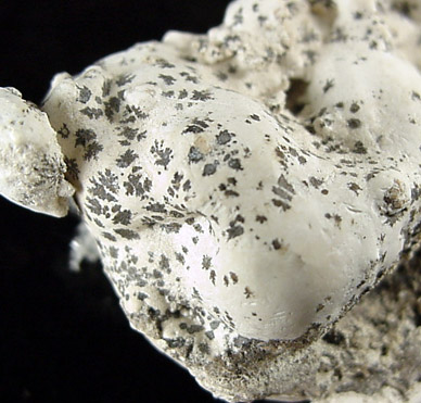 Pyrolusite on Collophane (Fluorapatite) from Astillero Mine, Durango, Mexico