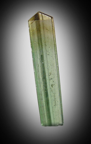 Elbaite Tourmaline from Gillette Quarry, Haddam Neck, Middlesex County, Connecticut