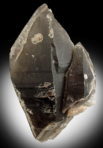 Quartz var. Smoky from Crystal Creek, Florissant, Teller County, Colorado