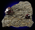 Almandine Garnet from Garnet Ledge, east shore of Stikine River Delta, 11 km north of Wrangell, Alaska