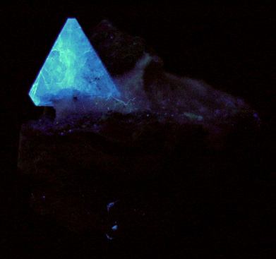 Benitoite in Natrolite from Benitoite Gem Mine, San Benito County, California (Type Locality for Benitoite)