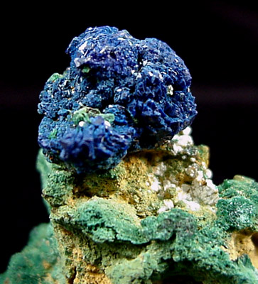 Azurite on Malachite from La Sal, San Juan County, Utah