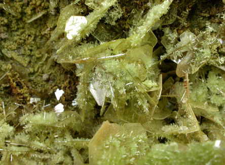 Mimetite on Wulfenite from Mina Ojuela, Mapimi, Durango, Mexico