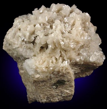 Dolomite and Calcite on fossilized coral from Clifty Falls State Park, Madison, Jefferson County, Indiana