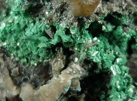 Torbernite from Botallack mines, Cornwall, England