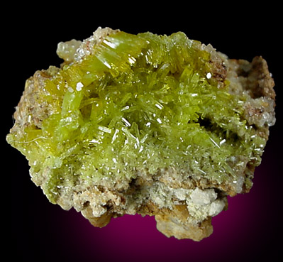 Pyromorphite from Wheal Alfred, Philack, Cornwall, England