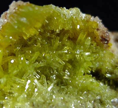 Pyromorphite from Wheal Alfred, Philack, Cornwall, England