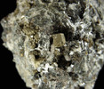 Pyrite, Manganapatite and Pectolite from Rt. 80 construction, Fort Lee, Bergen County, New Jersey