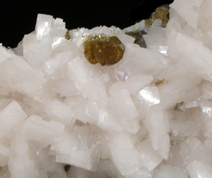 Sphalerite on Dolomite from Jefferson City, 1600' level, Jefferson County, Tennessee