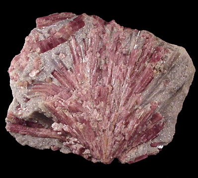 Elbaite var. Rubellite Tourmaline in Lepidolite from Stewart Mine, Pala, San Diego County, California