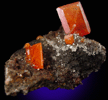 Wulfenite from Red Cloud Mine, Silver District, La Paz County, Arizona