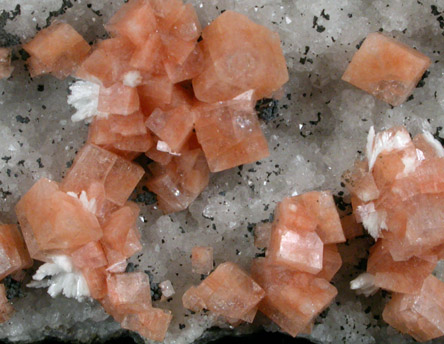 Chabazite, Laumontite, Quartz from New Street Quarry, Paterson, Passaic County, New Jersey