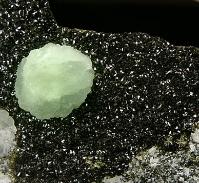 Babingtonite with Prehnite from Lane's Quarry, Westfield, Hampden County, Massachusetts