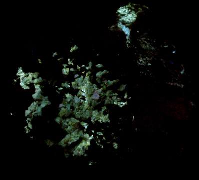 Scheelite and Fluorite from Zinnwald-Cnovec District, Erzgebirge, Saxony-Bohemia border region, Germany-Czech Republic