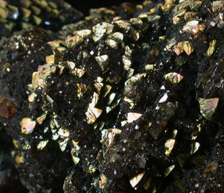 Chalcopyrite on Sphalerite from Ballard Mine, Baxter Springs, Cherokee County, Kansas