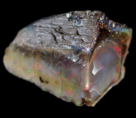 Opal var. Opalized Wood from Virgin Valley District, Humboldt County, Nevada