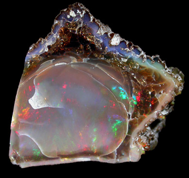 Opal var. Opalized Wood from Virgin Valley District, Humboldt County, Nevada