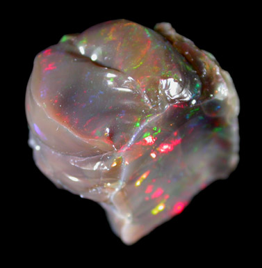 Opal var. Opalized Wood from Virgin Valley District, Humboldt County, Nevada