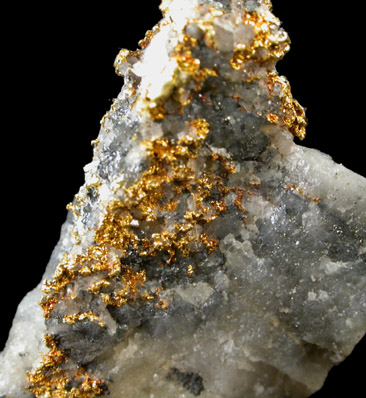 Gold in Quartz from Placer County, California