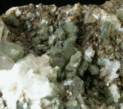 Epidote and Quartz from Kanton Uri, Switzerland