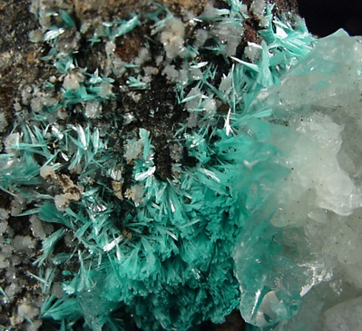 Aurichalcite and Calcite from Bisbee, Warren District, Cochise County, Arizona