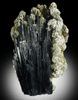 Schorl Tourmaline with Muscovite from Mount Thompson Mine, Plumas County, California