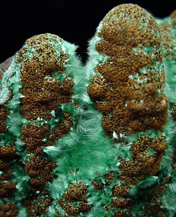 Malachite from Copper Queen Mine, Bisbee, Warren District, Cochise County, Arizona