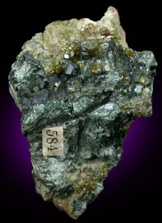 Clinochlore and Andradite Garnet var. Topazolite from Val d'Ala, Piemonte, Italy