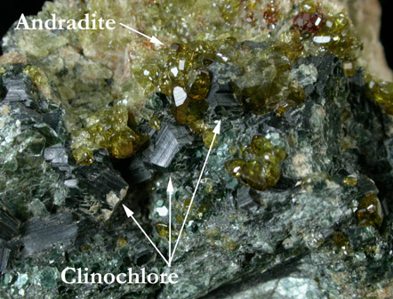 Clinochlore and Andradite Garnet var. Topazolite from Val d'Ala, Piemonte, Italy