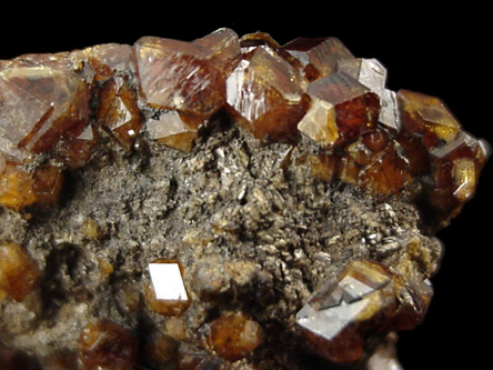 Andradite Garnet var. Aplome from Schwarzenburg, Saxony, Germany