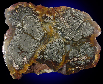 Marcasite in Quartz var. Agate from Nipomo, San Luis Obispo County, California
