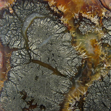 Marcasite in Quartz var. Agate from Nipomo, San Luis Obispo County, California