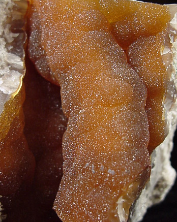 Quartz var. Agate pseudomorphs after Coral (Tampa Bay Coral) from Ballast Point, Tampa Bay, Hillsborough County, Florida