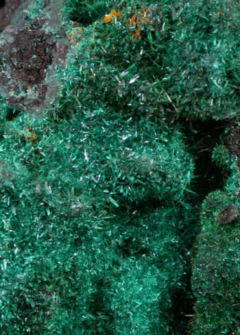 Malachite from (Morenci Mine), Clifton-Morenci District, Greenlee County, Arizona