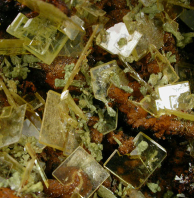 Wulfenite and Mimetite from Mina Ojuela, Mapimi, Durango, Mexico