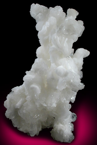 Aragonite var. Flos Ferri from (Eisenerz?), Steiermark (Styria), Austria