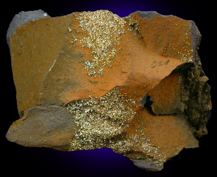 Siderite and Pyrite nodule from South River clay pits, Middlesex County, New Jersey